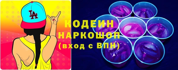 крисы Козельск