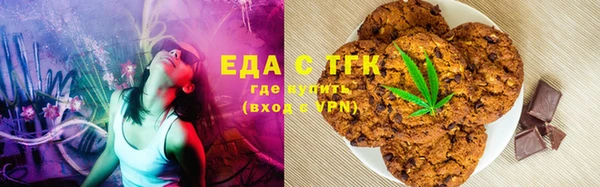 крисы Козельск