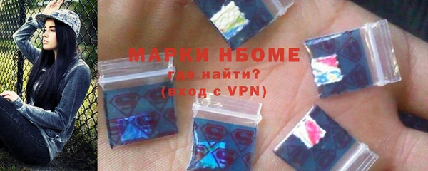 крисы Козельск